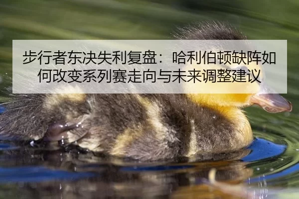 bu-xing-zhe-dong-jue-shi-li-fu-pan-ha-li-bo-dun-que-zhen-ru-he-gai-bian-xi-lie-sai-zou-xiang-yu-wei-lai-tiao-zheng-jian-2-334.jpg