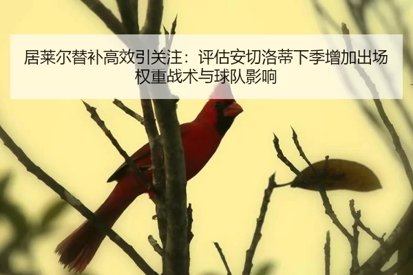 ju-lai-er-ti-bu-gao-xiao-yin-guan-zhu-ping-gu-an-qie-luo-di-xia-ji-zeng-jia-chu-chang-quan-zhong-zhan-shu-yu-qiu-dui-2-307.jpg