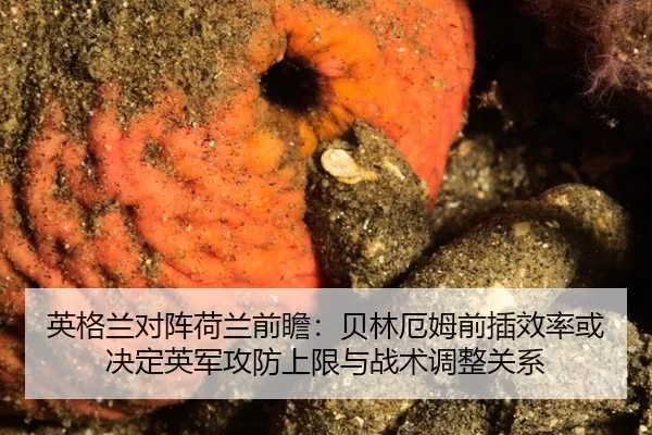英格兰对阵荷兰前瞻：贝林厄姆前插效率或决定英军攻防上限与战术调整关系
