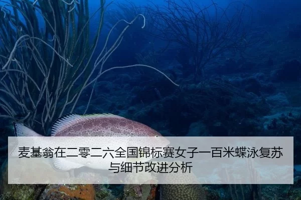 麦基翁在二零二六全国锦标赛女子一百米蝶泳复苏与细节改进分析